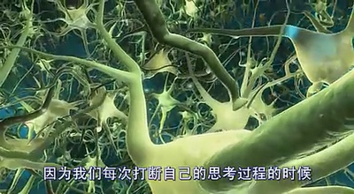 兔子洞里到底是什么剧照的剧照