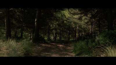 逃亡僵尸岛剧照的剧照