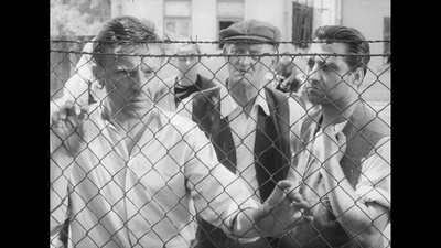 大街上的商店剧照的剧照