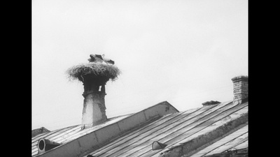 大街上的商店剧照的剧照