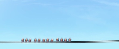 赛车总动员剧照的剧照