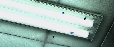 赛车总动员剧照的剧照