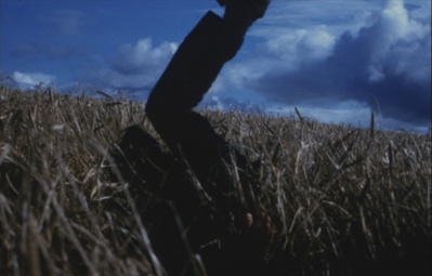 捕鼠者剧照的剧照