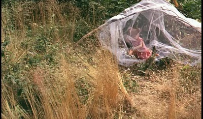 幸福剧照的剧照