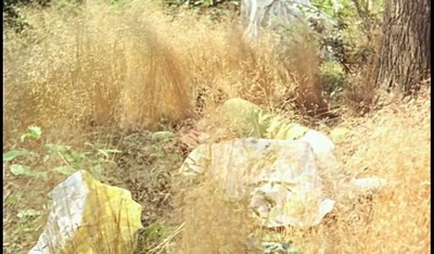 幸福剧照的剧照