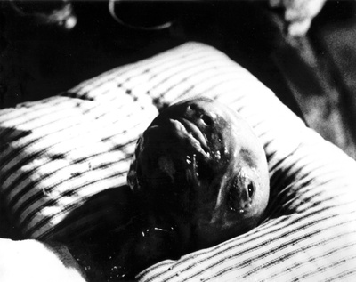 橡皮头剧照的剧照