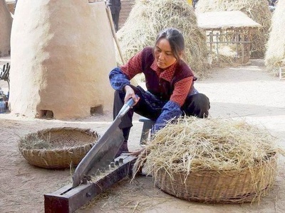 上学路上剧照的剧照