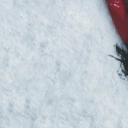 三角草的春天剧照