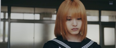 三角草的春天剧照的剧照