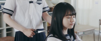 三角草的春天剧照的剧照