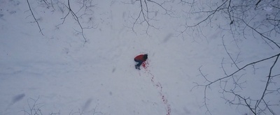 三角草的春天剧照的剧照