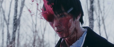 三角草的春天剧照的剧照