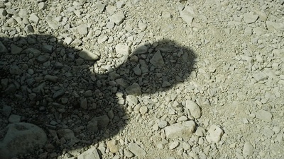 庆州剧照的剧照