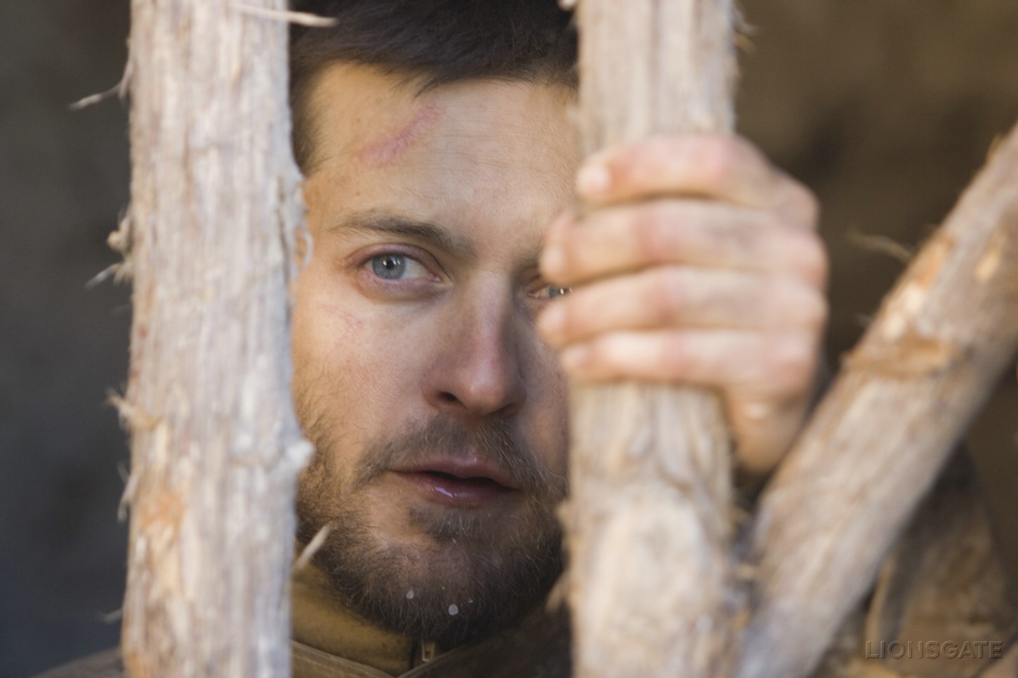 兄弟剧照的剧照