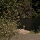 被蹂躏的她剧照