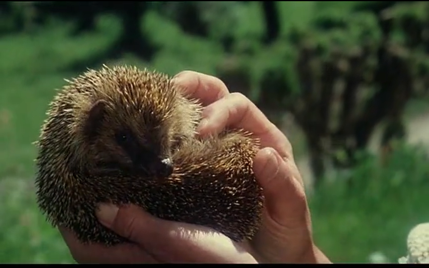 天意剧照的剧照