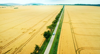 契克剧照的剧照