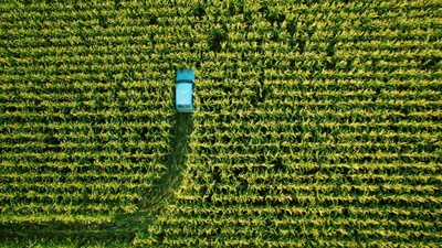 契克剧照的剧照