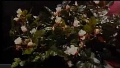 沙甸鱼杀人事件剧照的剧照