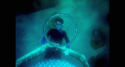 浮生一日剧照的剧照