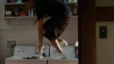 后窗惊魂剧照的剧照