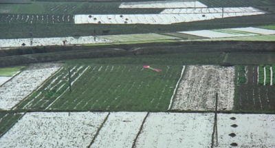 似水流年剧照的剧照