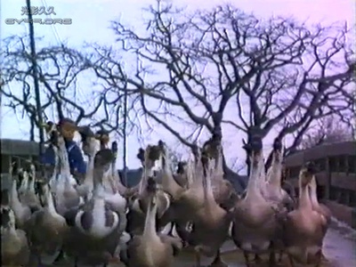 似水流年剧照的剧照