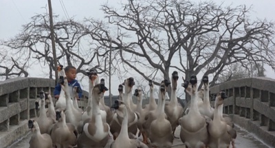 似水流年剧照的剧照