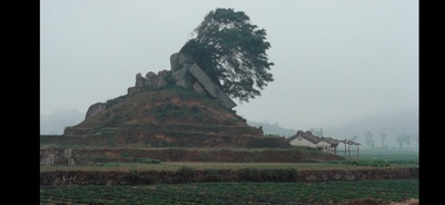 似水流年剧照的剧照