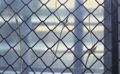 审问剧照的剧照