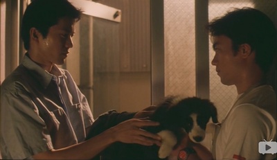 三心两性剧照的剧照