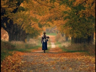 清秀佳人剧照的剧照