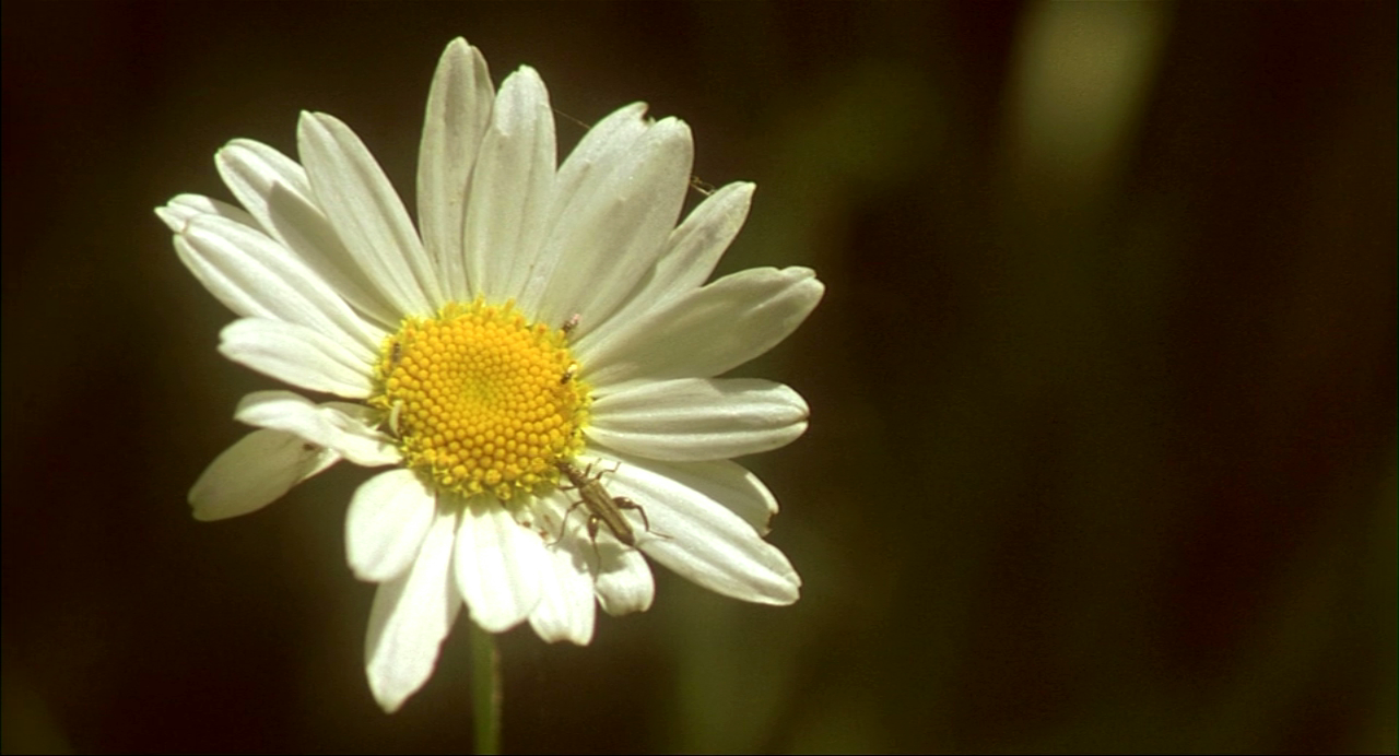我是爱剧照的剧照