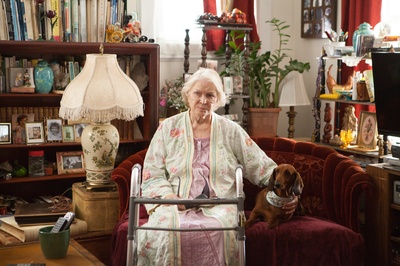 腊肠狗剧照的剧照