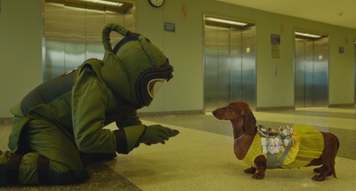 腊肠狗剧照的剧照