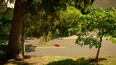 腊肠狗剧照的剧照