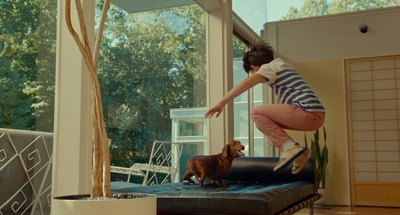 腊肠狗剧照的剧照