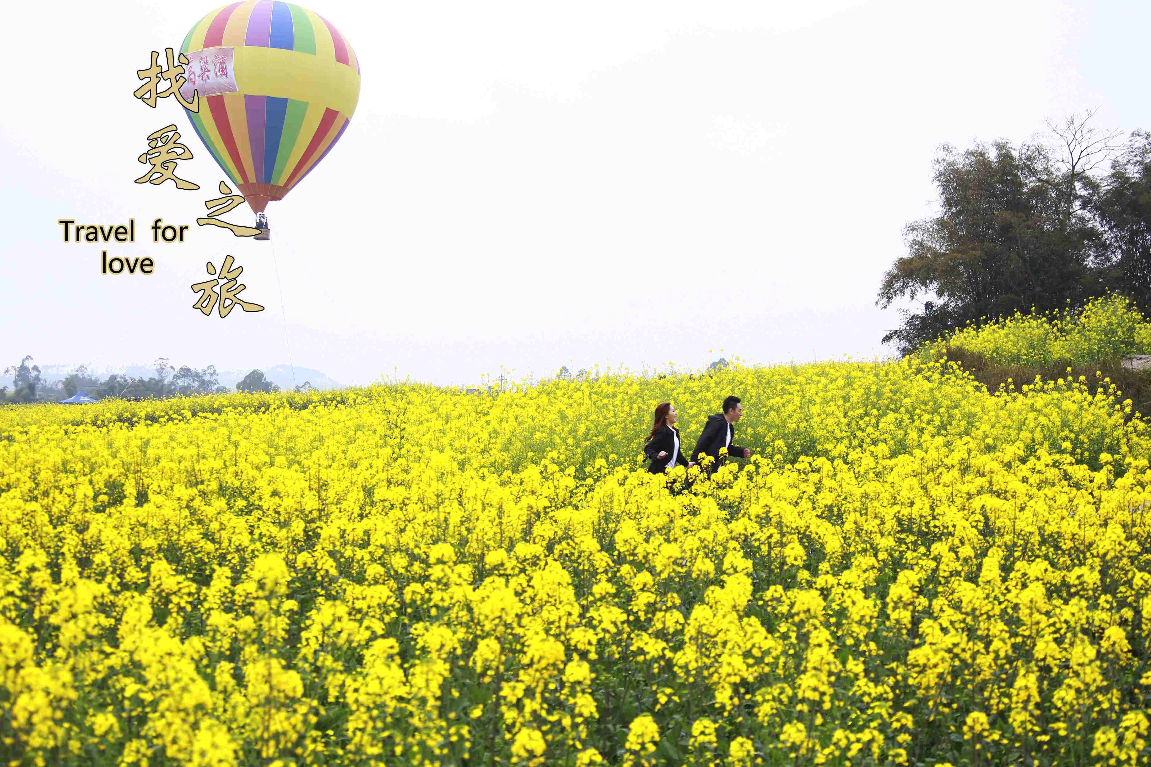 找爱之旅剧照的剧照