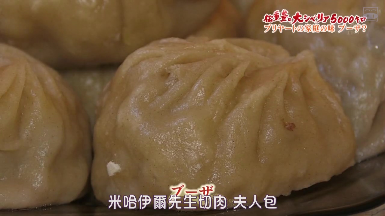 松重丰的5000公里西伯利亚行~不为日本人所知的饺子之路~剧照的剧照