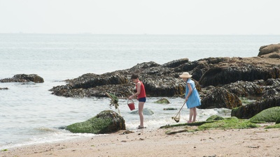 小淘气尼古拉的假期剧照的剧照