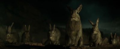 独行侠剧照的剧照