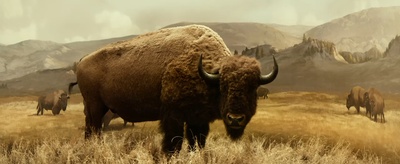 独行侠剧照的剧照