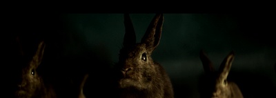 独行侠剧照的剧照