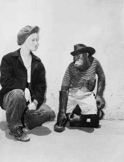 苏利文的旅行剧照的剧照