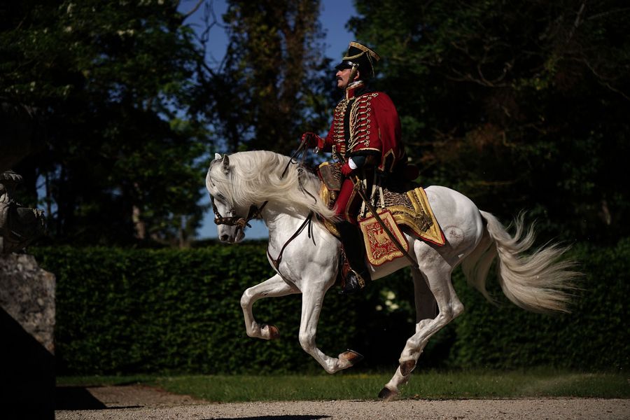 英雄归来剧照的剧照