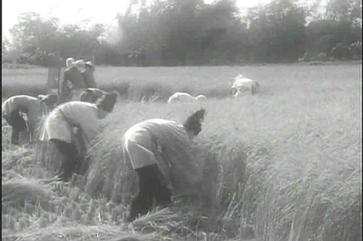 董夫人剧照的剧照