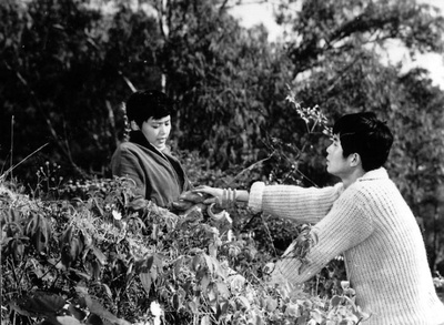 小街剧照的剧照