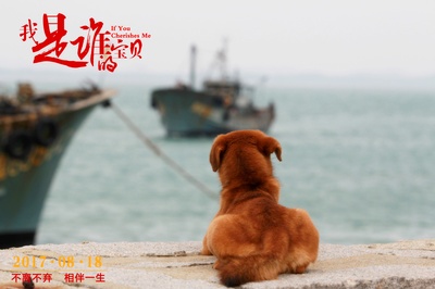 我是谁的宝贝剧照的剧照