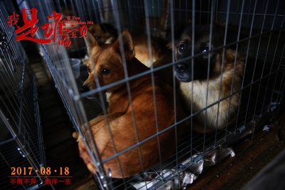 我是谁的宝贝剧照的剧照