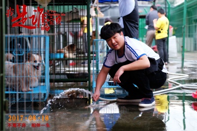 我是谁的宝贝剧照的剧照